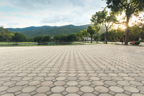 Best Driveway Pavers Near Me  in Raeford, NC